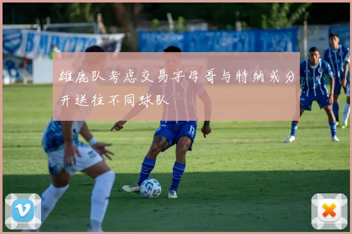 雄鹿队考虑交易字母哥与特纳或分开送往不同球队