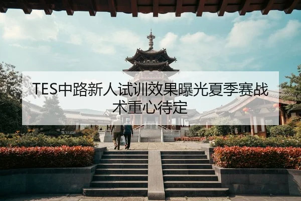 TES中路新人试训效果曝光夏季赛战术重心待定